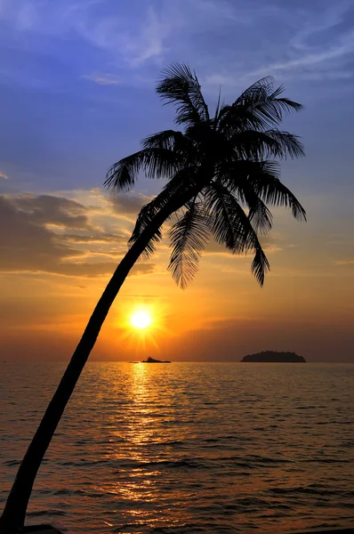 Tropical Landscape Evening — Stock Photo, Image