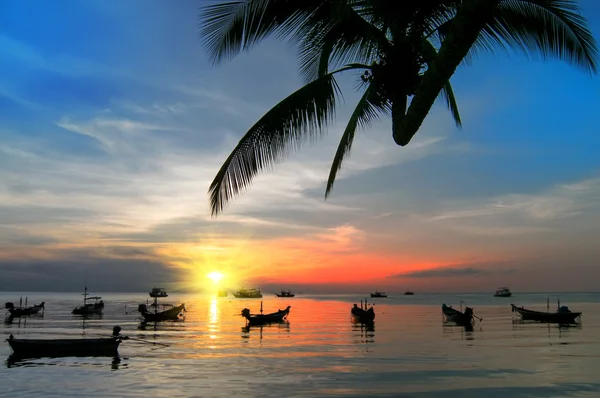 Coucher de soleil tropical sur la plage. Île de Koh Tao. Thaïlande — Photo