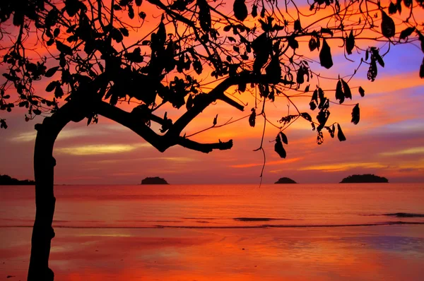 Tropiska färgstark solnedgång, thailand. — Stockfoto