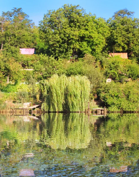 Lac avec arbre — Photo