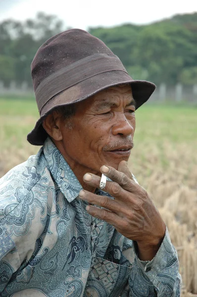 Antiguo agricultor —  Fotos de Stock