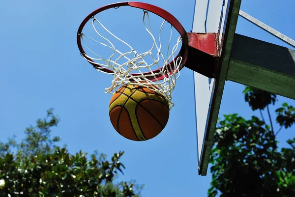 Basketbalové svištění — Stock fotografie