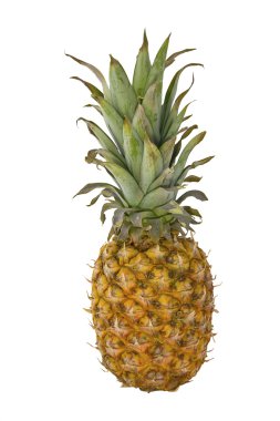 izole ananas