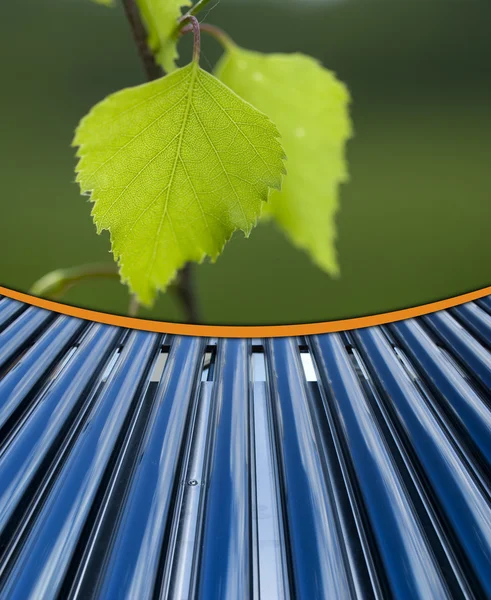 Коллекторная трубка из листьев и воротника — стоковое фото