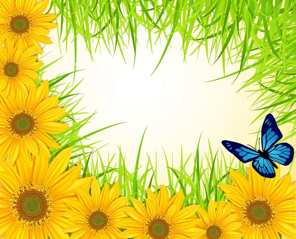 Vektor Hintergrund mit gelben Sonnenblumen, grünem Gras und Butter — Stockvektor