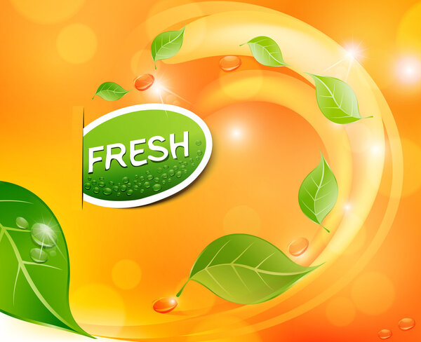 Vector juicy, fresh background with leaves and drops