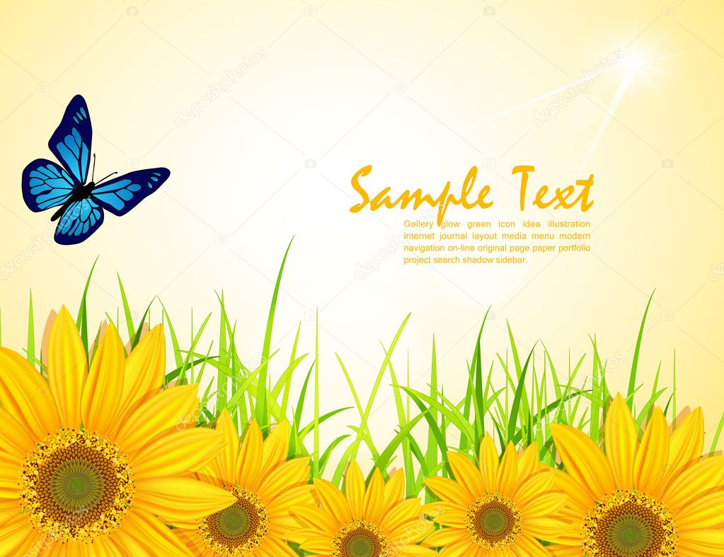 Vector background with yellow sunflowers, green grass and butter