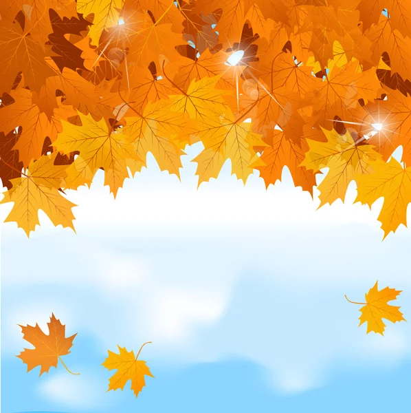 Vector rode esdoorn bladeren op blauwe hemelachtergrond — Stockvector