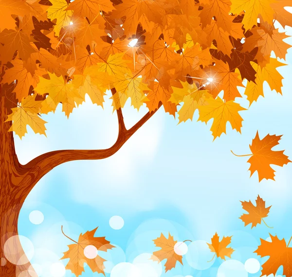 Foglie d'acero d'autunno vettoriale contro il cielo azzurro e luminoso — Vettoriale Stock