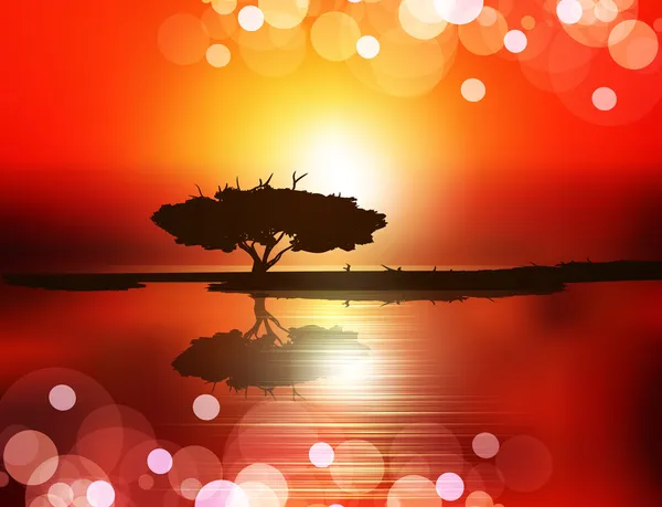 Vektoriální západ slunce (strom na vodě proti zapadajícího slunce) — Stockový vektor