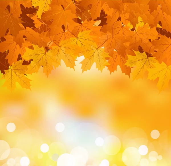 Векторные осенние листья на ярком солнечном фоне — стоковый вектор
