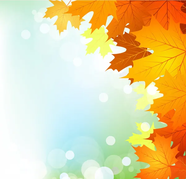 Vector autumn leaves on a bright sunny background — Stock Vector