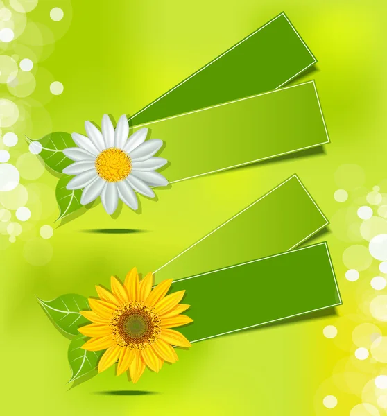 Lommerrijke vector label met madeliefjes en zonnebloemen op een weelderige groene b — Stockvector