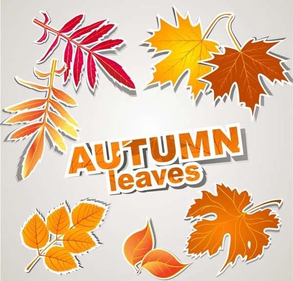 Vector set: autumn leaves — Stock Vector