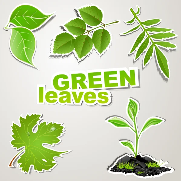 向量组的不干胶标签: 绿色的叶子 — 图库矢量图片