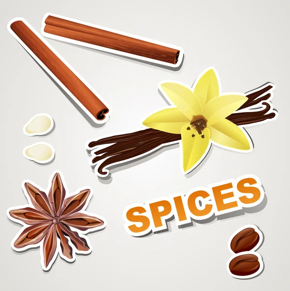 Vector set stikers : spice — Stock Vector