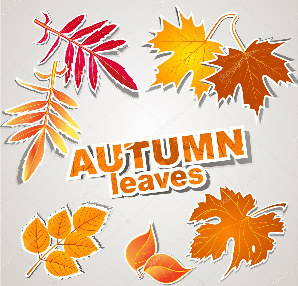 Vector set: autumn leaves