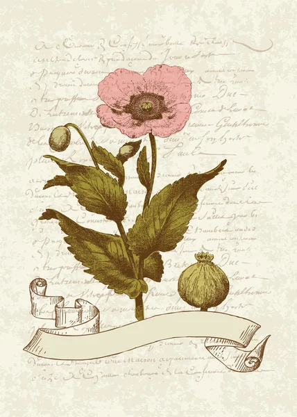 Cartão Vintage com flor de papoula - para convite, saudações, congresso —  Vetores de Stock
