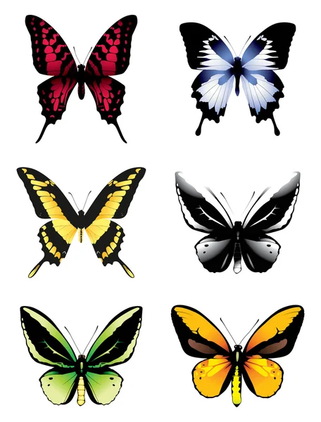Mariposas sobre un fondo blanco — Vector de stock
