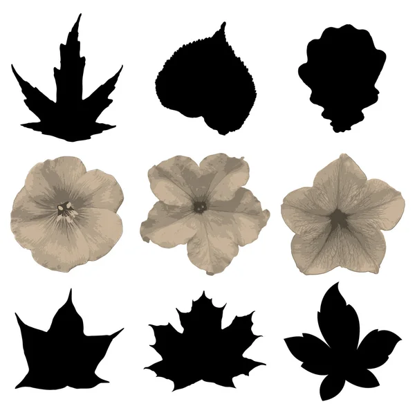 Flores y hojas blancas y negras — Vector de stock