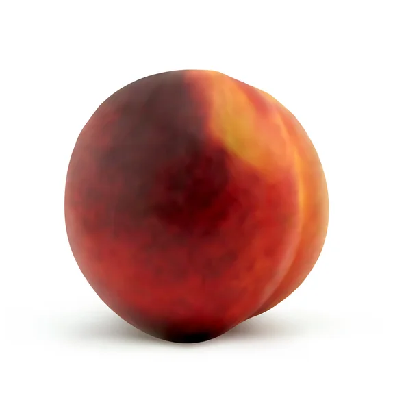 Свежий персик — стоковый вектор