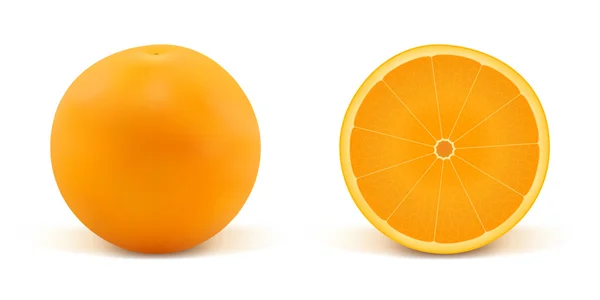 Oranje en deel van Oranje — Stockvector