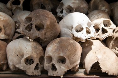 Skulls from a mass grave of Khmer Rouge victims in Choeung Ek clipart