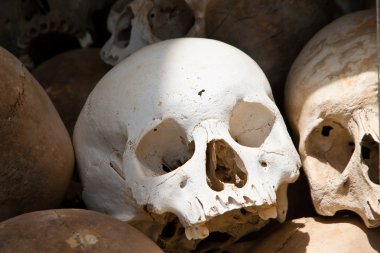 White skull from a mass grave of Khmer Rouge victims in Choeung Ek clipart