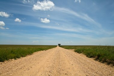 kırsal road horizon serengeti Milli Parkı, Tanzanya içinde olacak.