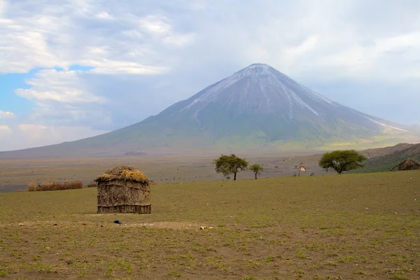 Huset Maasai med vulkan på bakgrunn, Tanzania – stockfoto