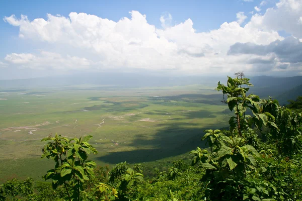 View of Ngorongoro crater in Tanzania, Africa. — Stock Photo, Image