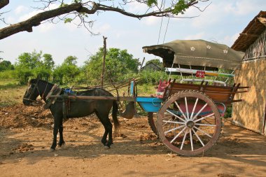 Horse-drawn vehicle in ancient city of Ava (Innwa), Mandalay, Myanmar (Burm clipart