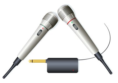 2 kablosuz mikrofonlar