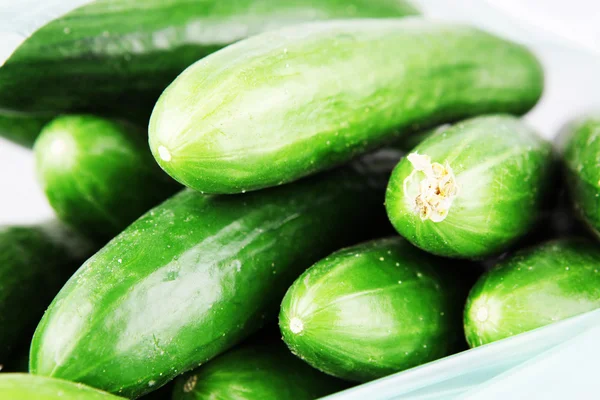 stock image Cucumbers