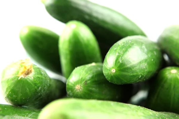 stock image Cucumbers