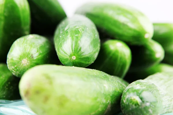 Stock image Cucumbers