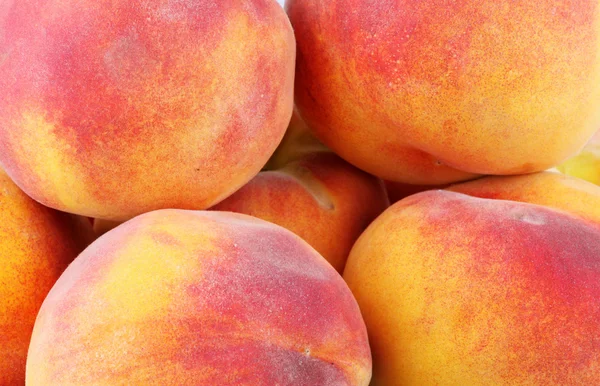 stock image Image of Peach