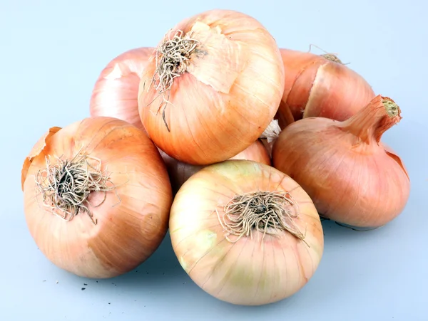 Image of Onion — Stock Photo, Image