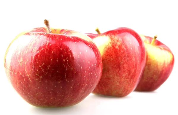 Obraz jabłka — Zdjęcie stockowe