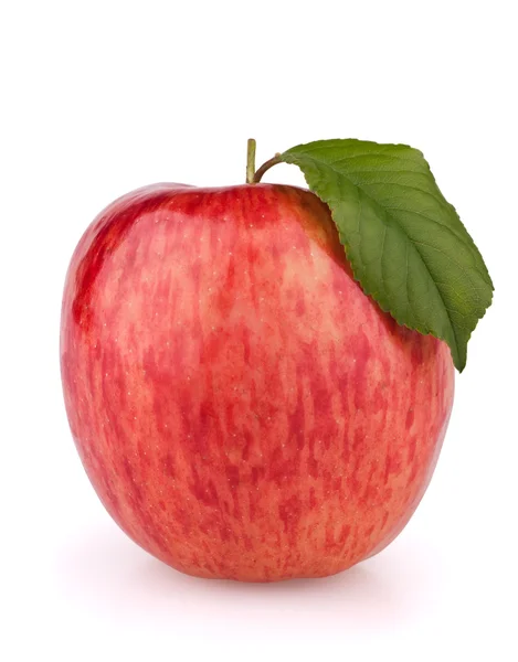 Rode appel met blad — Stockfoto