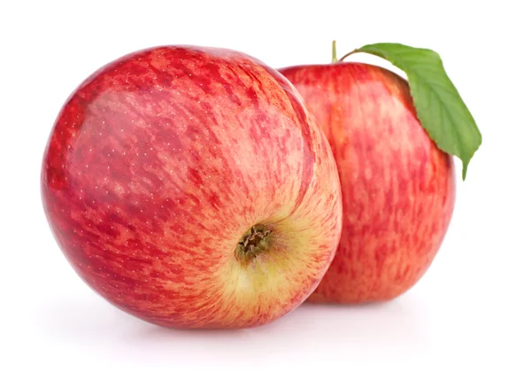 Червоні яблука ізольовані на білому — стокове фото