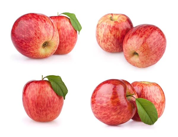 Conjunto de frutas rojas de manzana —  Fotos de Stock