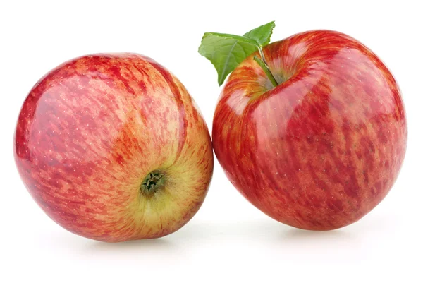 葉と赤いりんご — ストック写真
