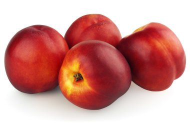 Four nectarines isolated on white clipart