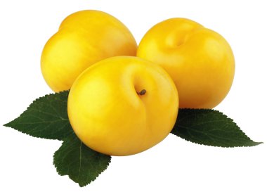 Yellow plums with leaves clipart