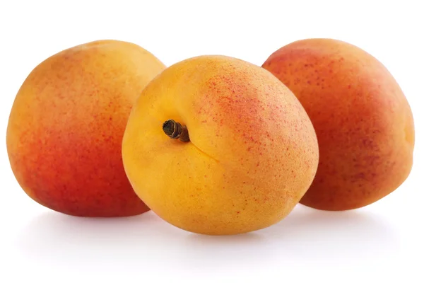 Apricot fruits — Stock Photo, Image