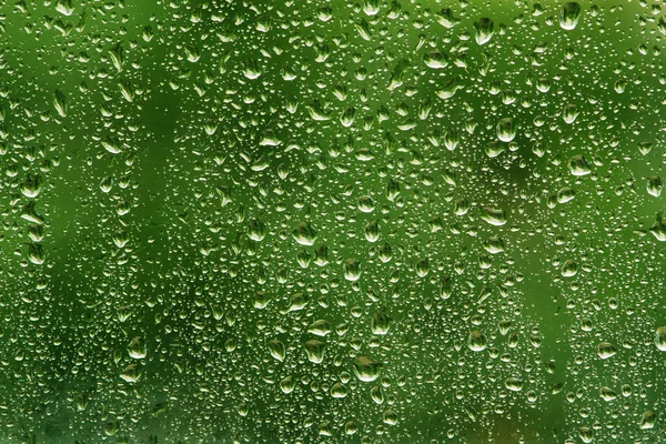 stock image Water drops on green background