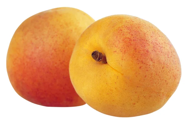 Aprikosenfrüchte — Stockfoto