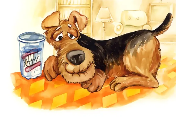 Cão sênior com dentes dentadura — Fotografia de Stock
