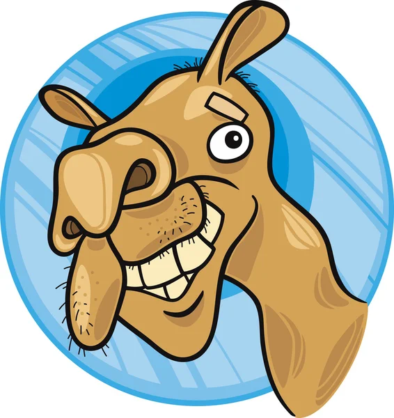 Camello dromedario — Vector de stock